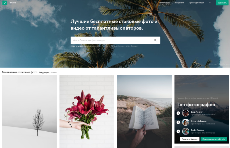 pexels.png pexels.png